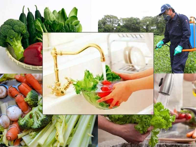 EU thay đổi  quy định về mức dư lượng  thuốc  bảo vệ thực vật (MRL) – hoạt chất Oxamyl  đối với nông sản thực&nbsp;phẩm.