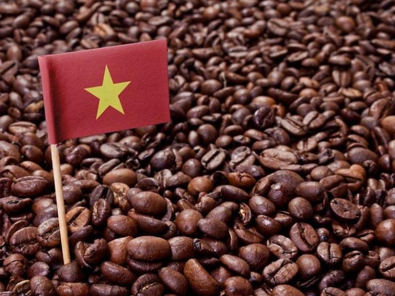 Tìm nhà cung ứng Cà phê hạt đi&nbsp;Kazakhstan.