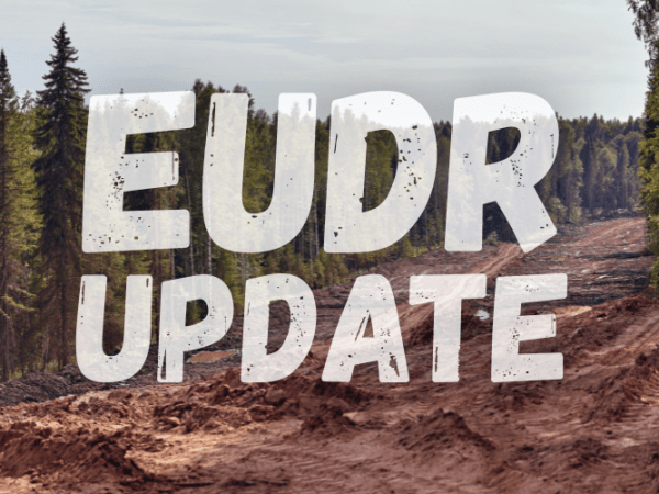 EU hoãn áp dụng quy định về phá rừng (EUDR) đến cuối năm&nbsp;2026