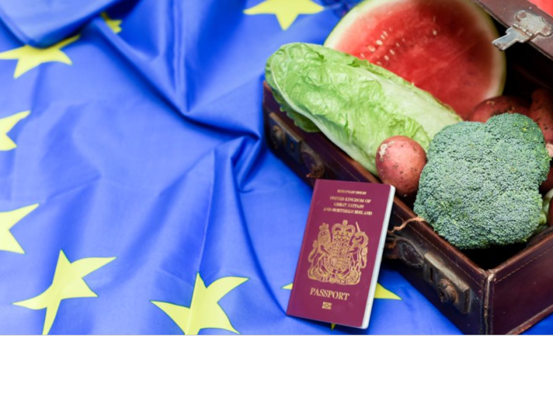 EU TĂNG CƯỜNG KIỂM TRA VÀ GIÁM SÁT NHẬP KHẨU NÔNG SẢN – THỰC&nbsp;PHẨM