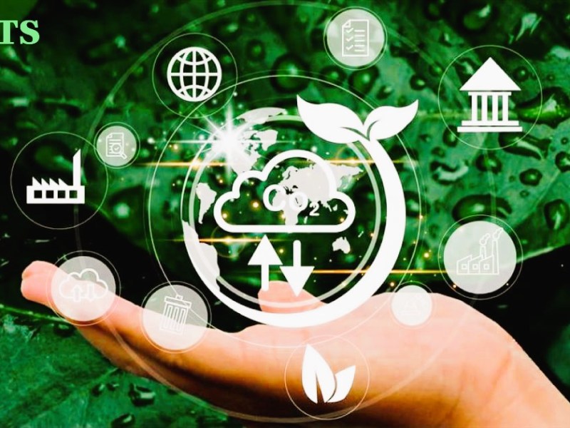 Cách cơ chế thị trường carbon của EU (EU ETS) vận&nbsp;hành