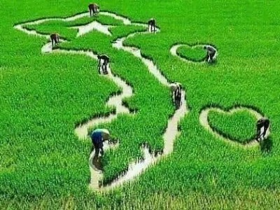 ORIENTATION COURSE on VIETNAM