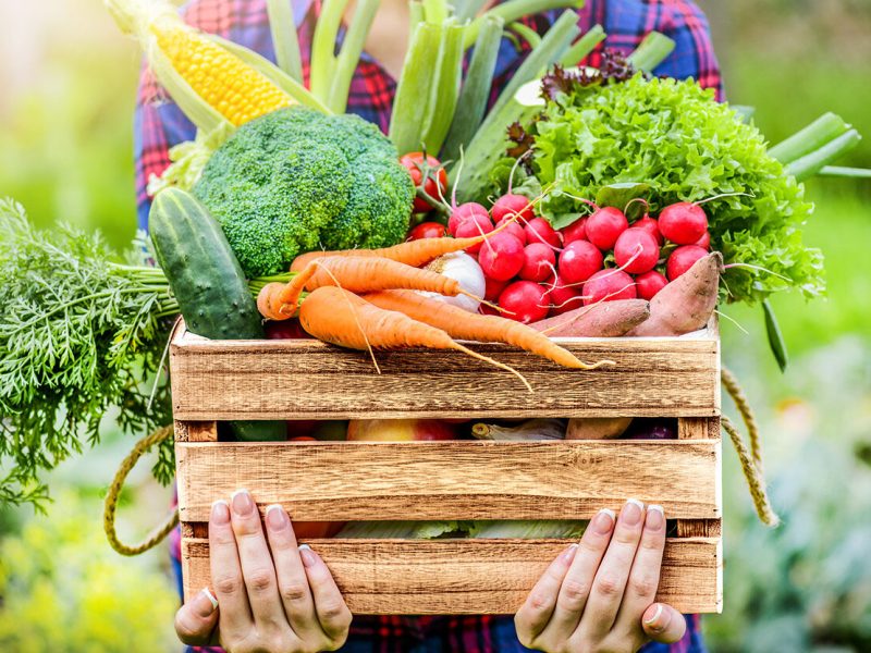 EU sửa đổi mức dư lượng tối đa đối với hợp chất đồng trong thực phẩm và thức ăn chăn&nbsp;nuôi