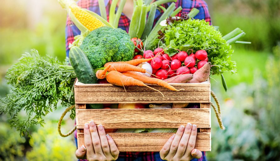 EU sửa đổi mức dư lượng tối đa đối với hợp chất đồng trong thực phẩm và thức ăn chăn&nbsp;nuôi